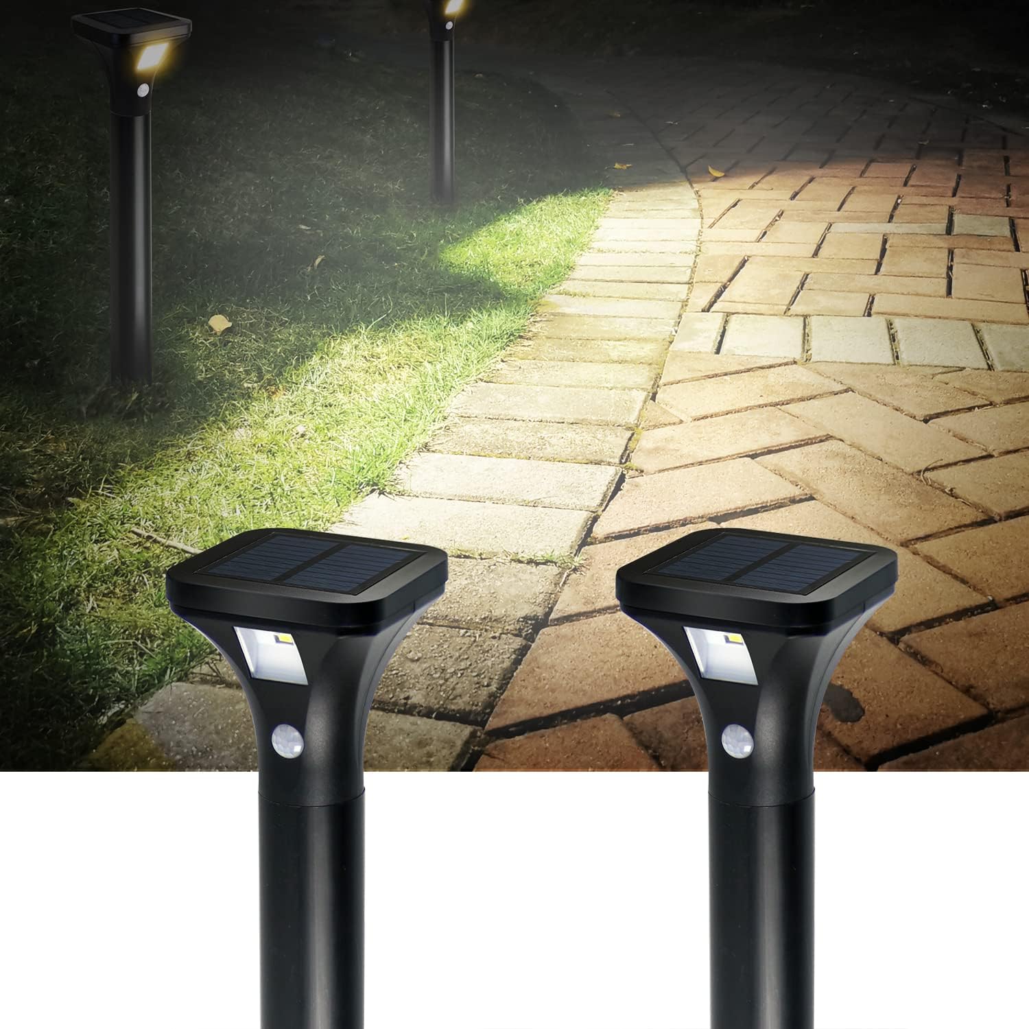 AURAXY LED Pathway Lights Review