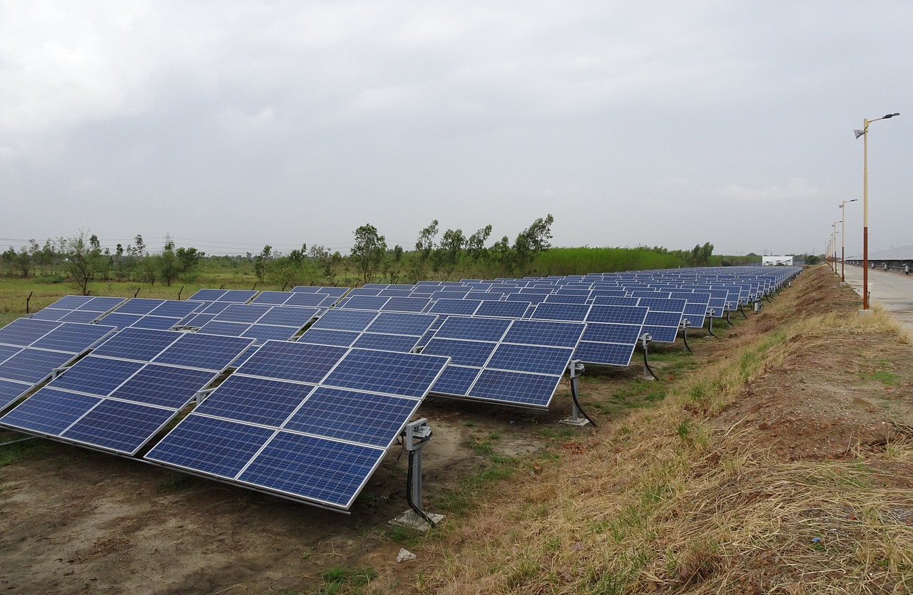 solar path lights